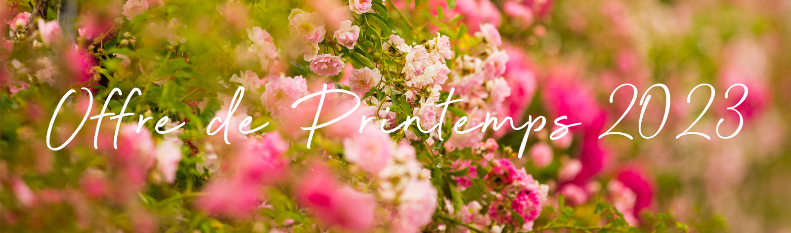 Offre Printemps 2023